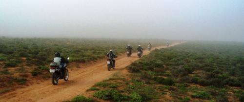 Biker Gorillas in the mist